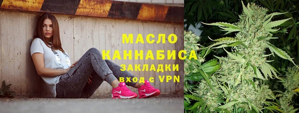 метадон Алексин