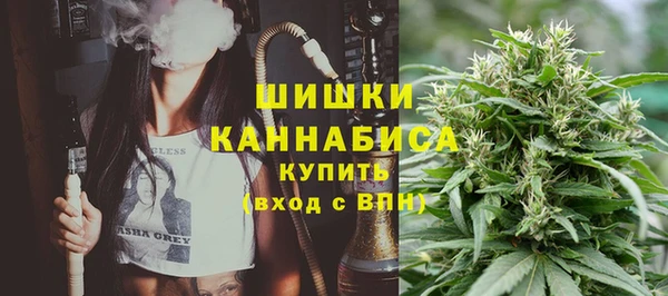 PSILOCYBIN Алексеевка